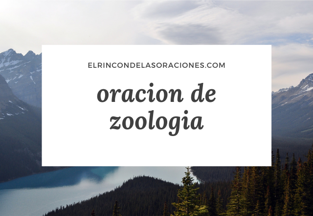 oracion de zoologia